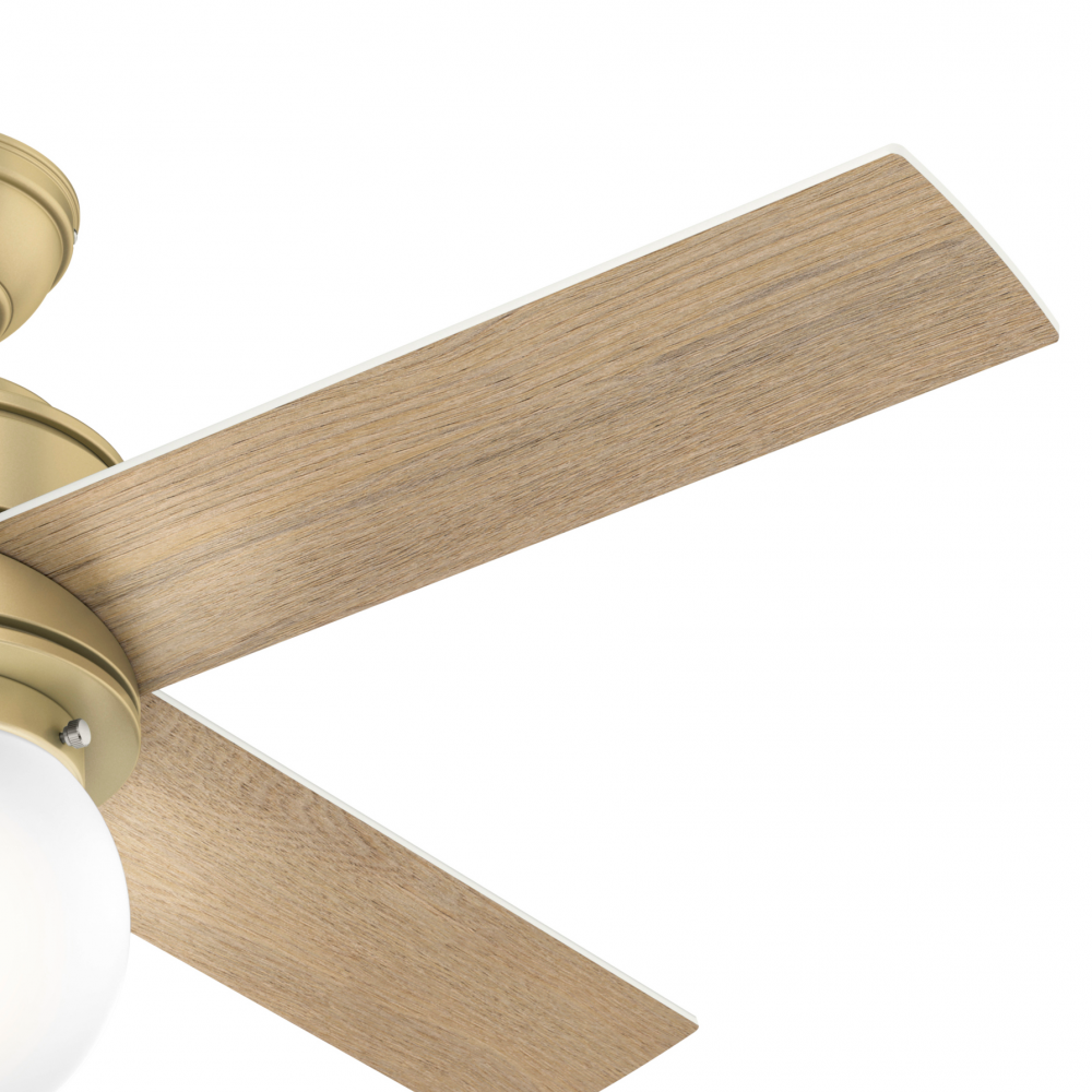 Hunter HEPBURN 52313 Fan Modern - Modern Brass