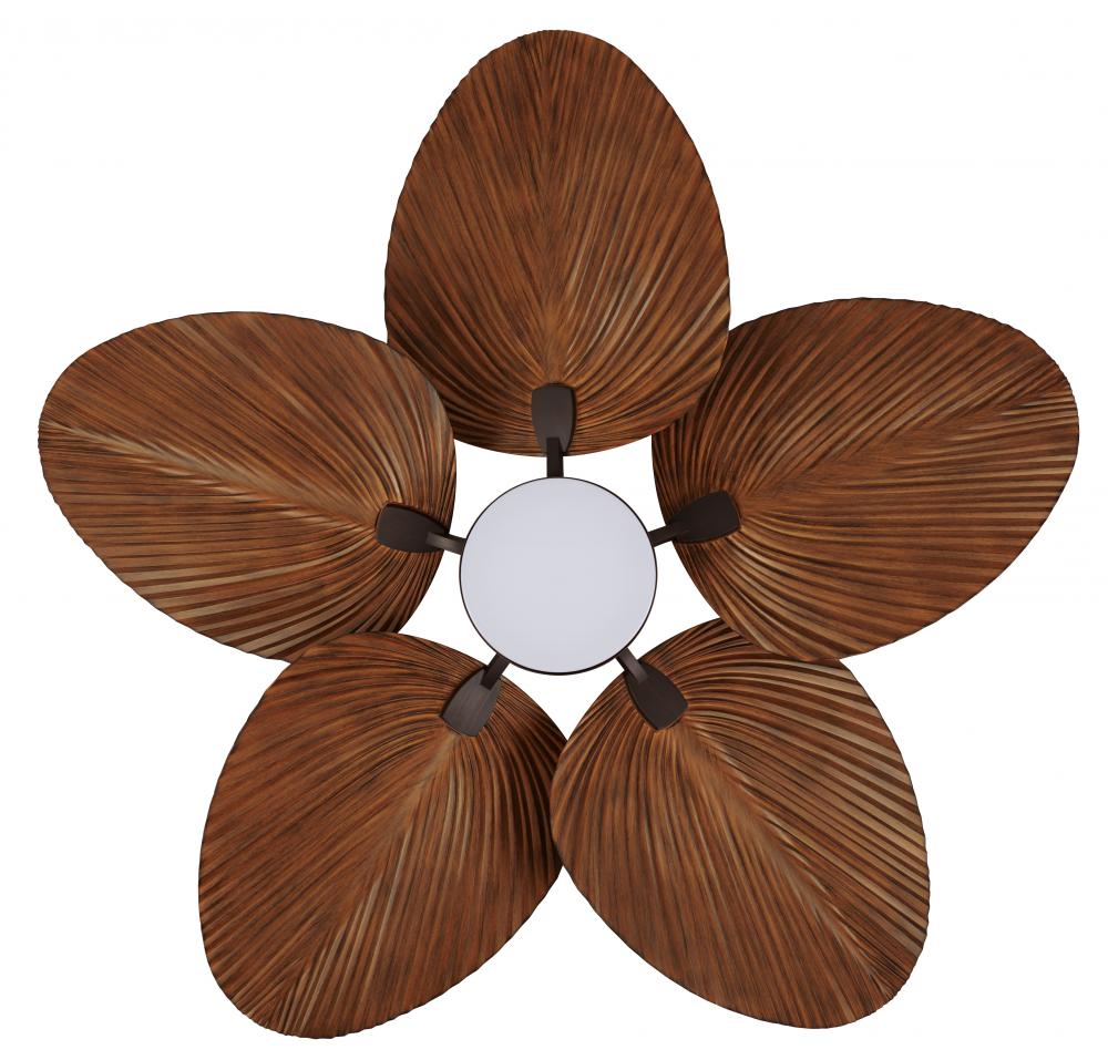 Beacon Lighting America 21065501 Fan Transitional - Oil Rubbed Bronze