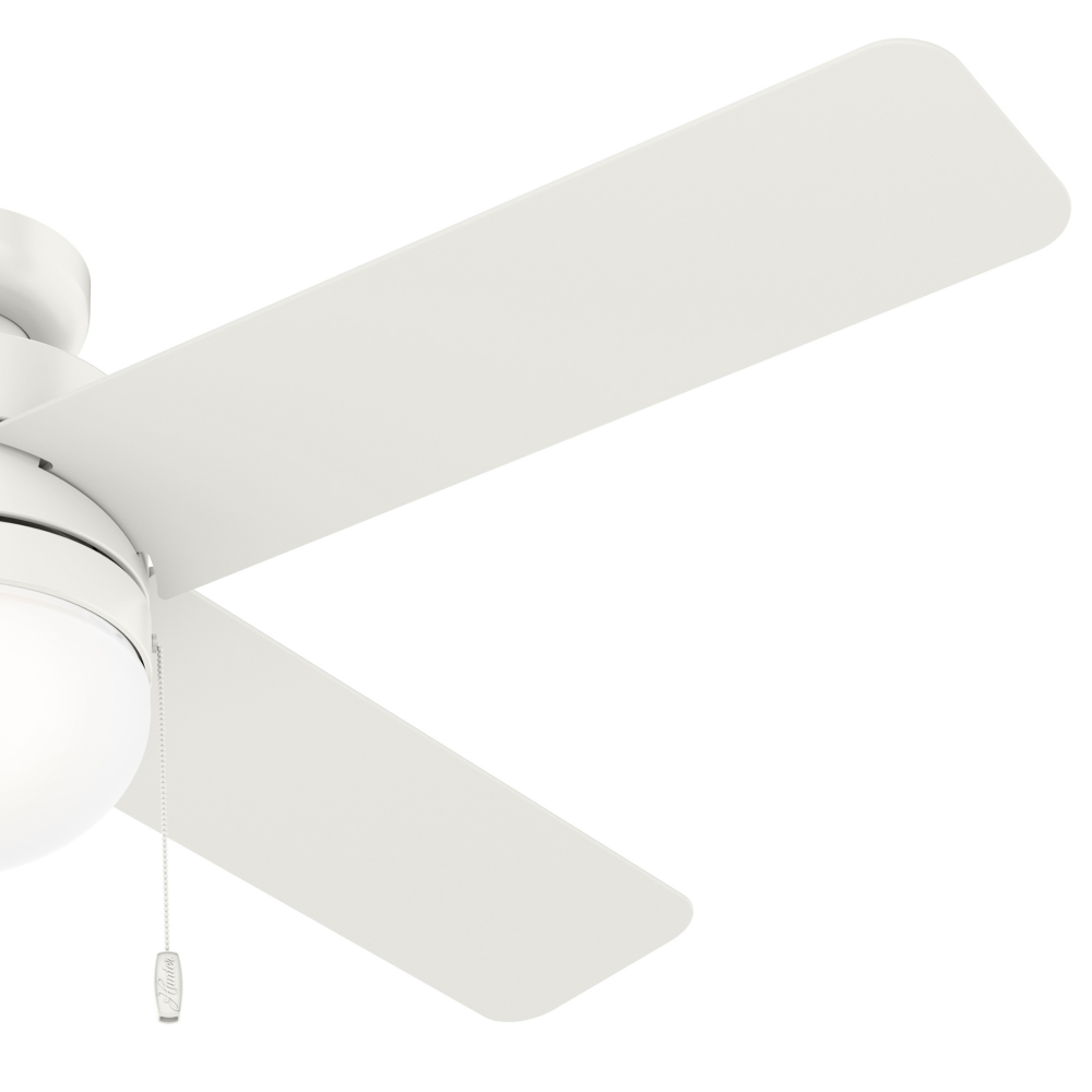 Hunter TIMPANI 50362 Fan Casual - Fresh White