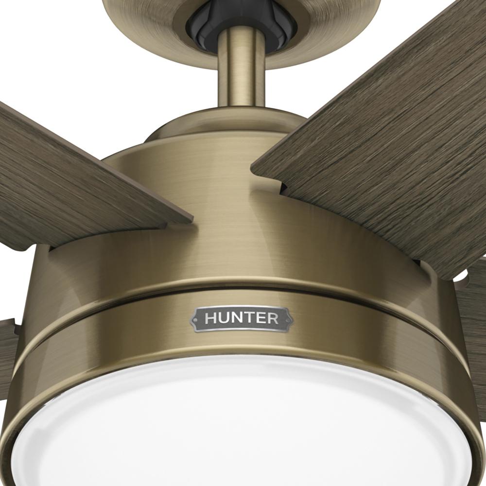 Hunter LYKKE 51571 Fan Casual - Burnished Brass