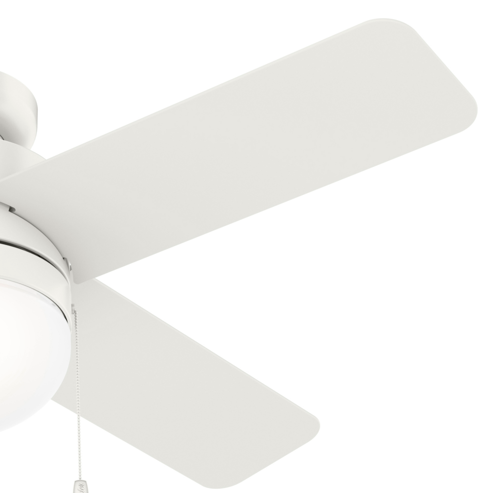 Hunter TIMPANI 50359 Fan Casual - Fresh White