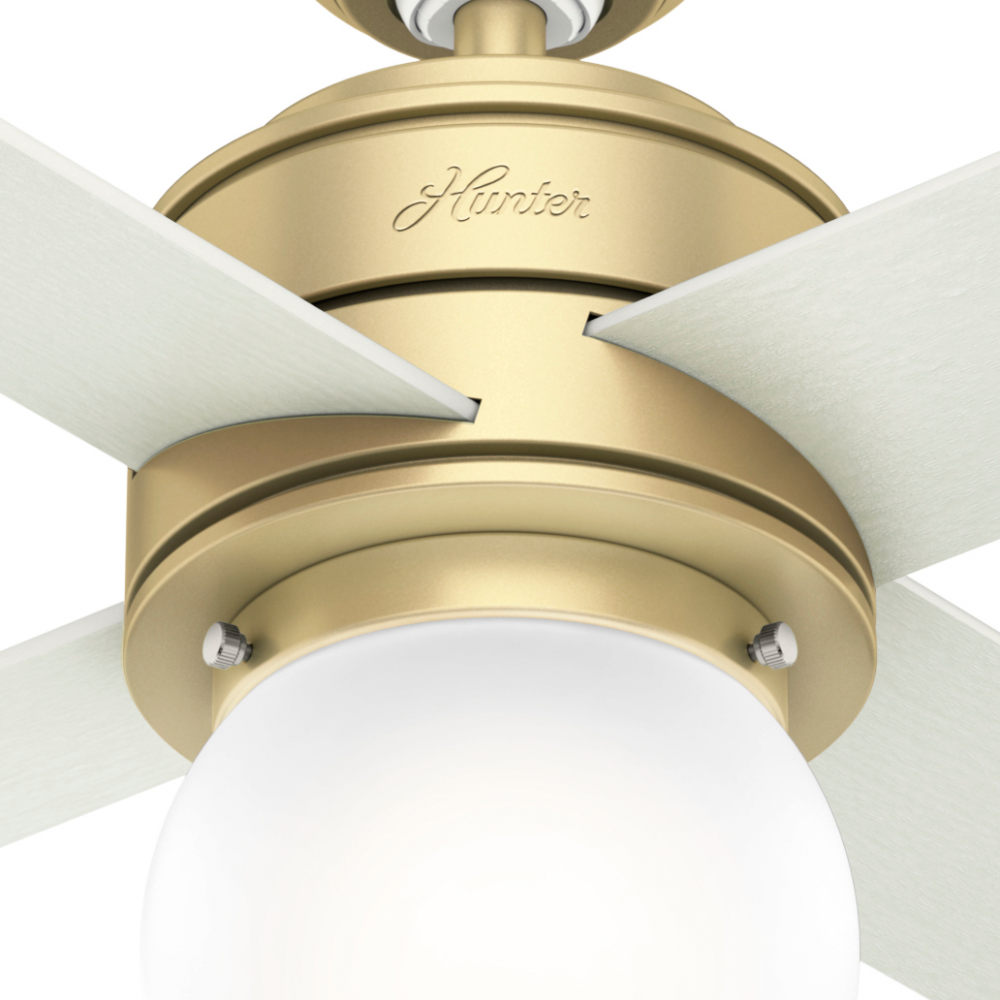 Hunter HEPBURN 52313 Fan Modern - Modern Brass