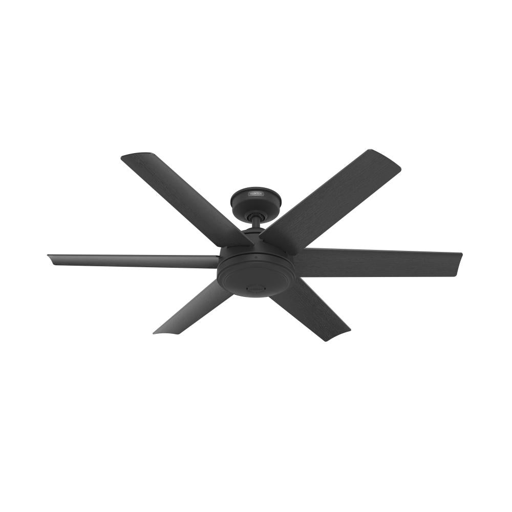 Hunter JETTY 51731 Fan Casual - Matte Black