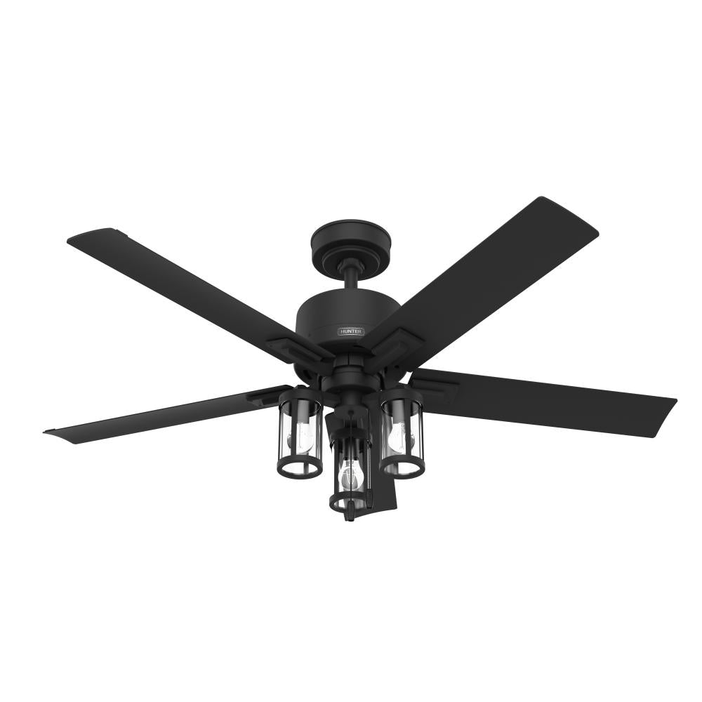 Hunter LAWNDALE 51689 Fan Casual - Matte Black