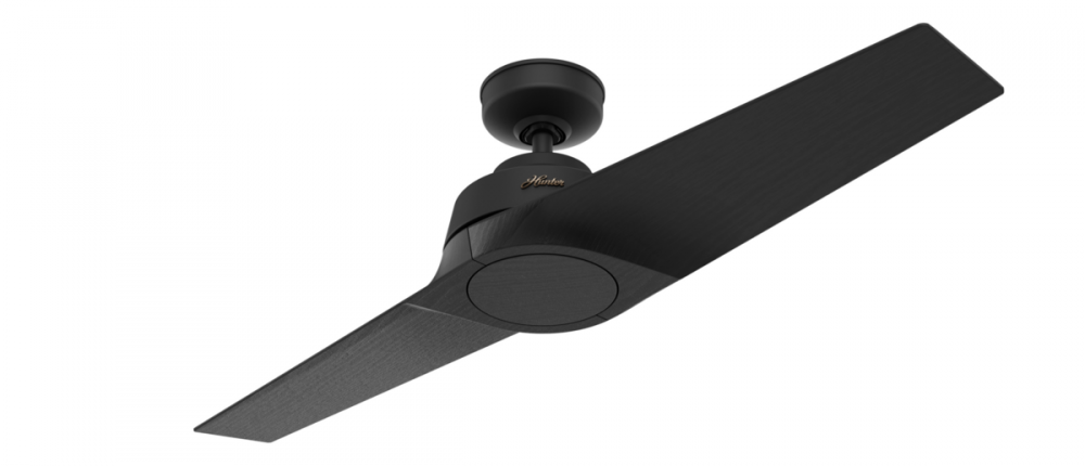 Hunter THADEN 50025 Fan Modern - Black